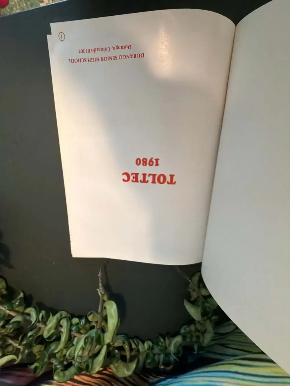 Lot of 3 Vintage Durango Senior High School Yearbooks (1978, 1979, 1980)